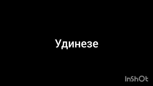 удинезе
