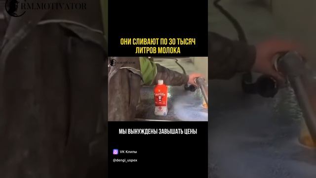 Они сливают по 30 тыс литр молока