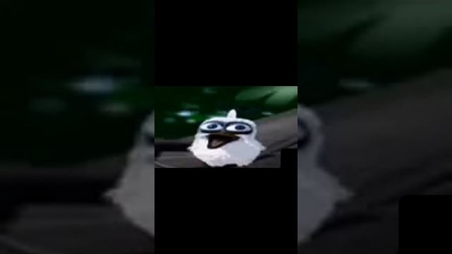 Птица орёт АААААА