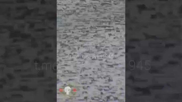 Разведчики 155-й гвардейской бригады морской пехоты Тихоокеанского флота уничтожили расчёт FPV-др...