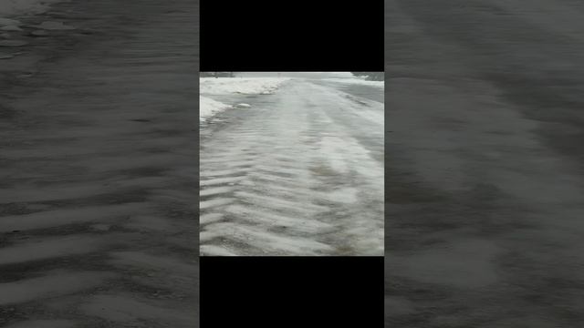 Доброе утро вам желает, рыжий кот Фокс 🐱 и гуси 🪿