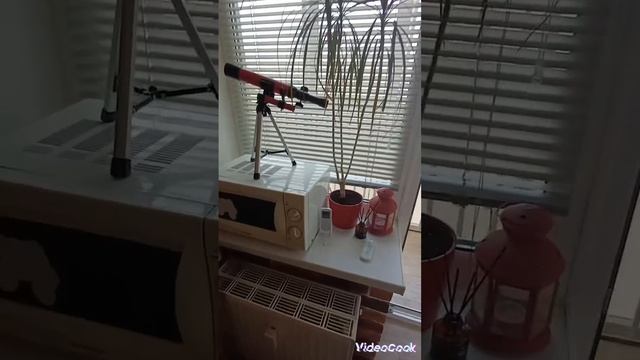 1000035339.mp4