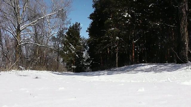 Кружится белый снег