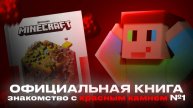 😱Официальная книга, знакомство с красным камнем
