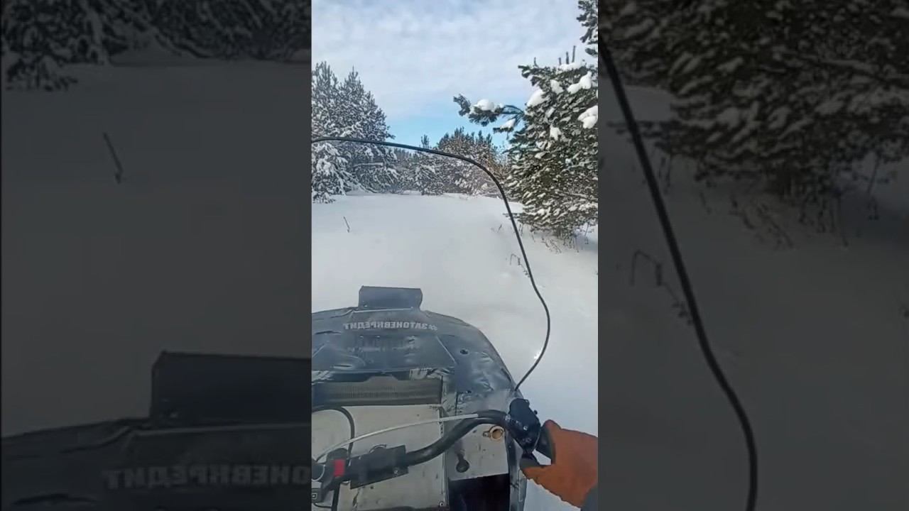 снежик