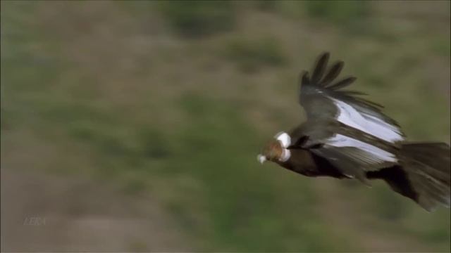 Время пришло..