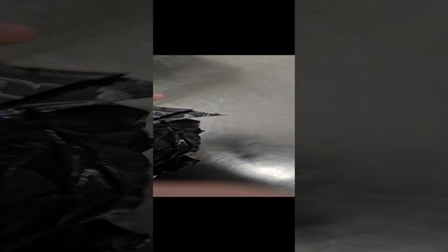 20250119_170002