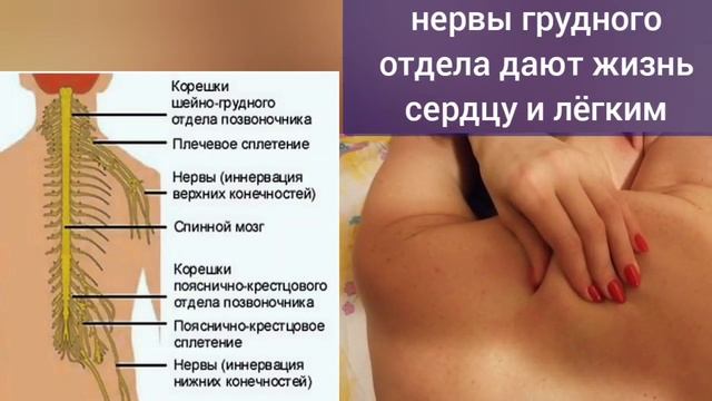 Как МОЗГ и ШЕЮ душат ЗАДРАННЫЕ лопатки? Методы коррекции