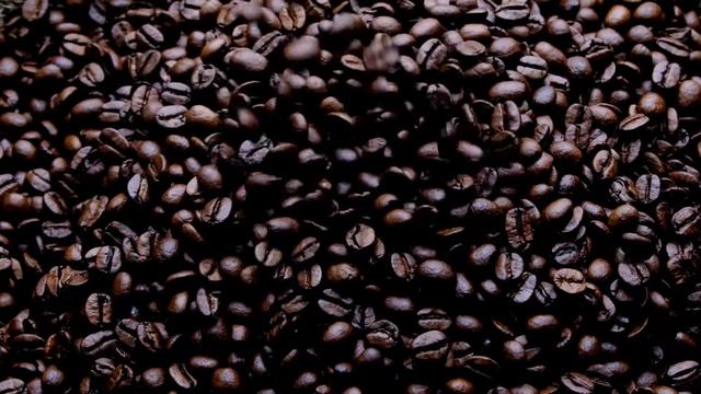 Fresh Roasted Coffee Beans - Stock Video
