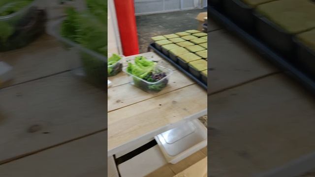 Sity Farm | Сити Ферма Живая Еда