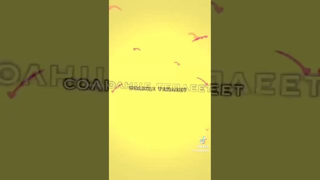 VID-20241118-WA0002.mp4