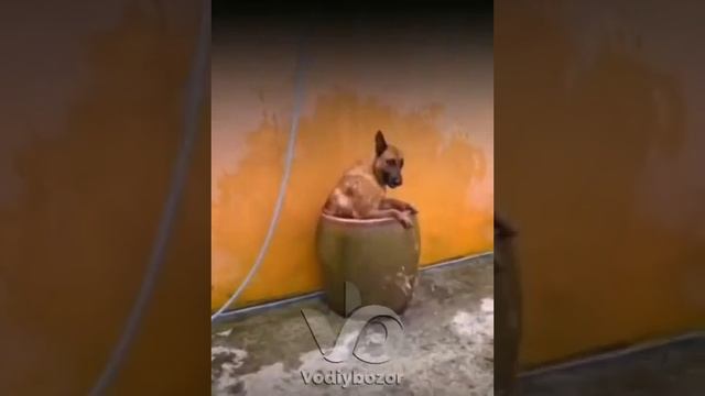 ЖАЖДА https://ok.ru/messages/join/Y2w966_K9qvyRTb0rU6fkCl1tjiRA_A_WMHZSfpZQTc_14YqqeV49tIqT3kPYKotYt