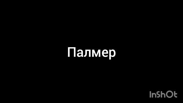 Палмер