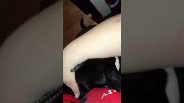 1000017723.mp4