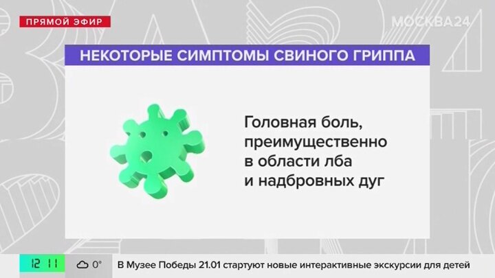 В Сети появились сообщения о вспышке свиного гриппа в России