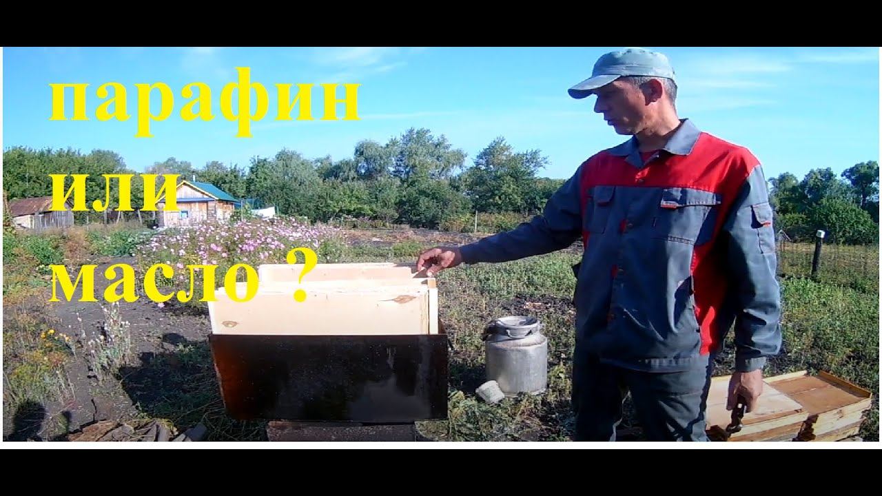 Ульи.Парафин или масло? Что лучше.
