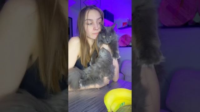 СИЛИМ С КОТОМ ЗА СТОЛОМ! #cats #top