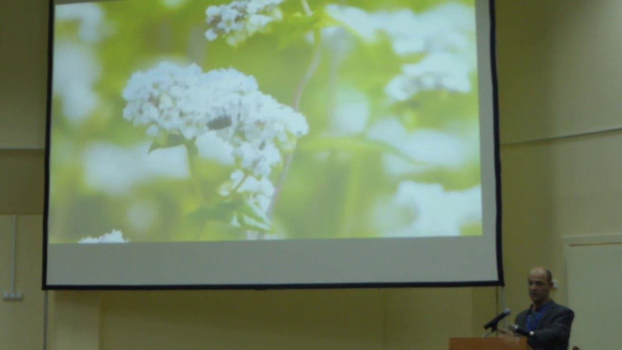 Пчеловодство.Выступление Матюшкина Алексея Пчелич 2017
