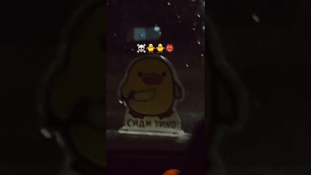 Сили тихо