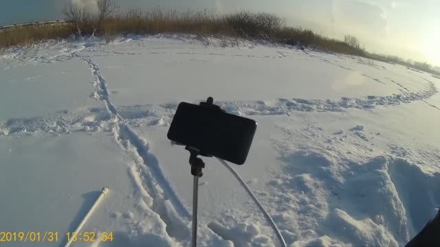 Подлёдная съёмка на рыбалке. Ивановский карьер 31.01.2019г