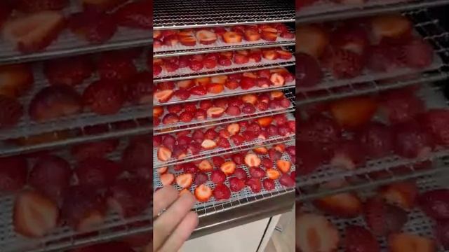 Фрипсы из клубники
