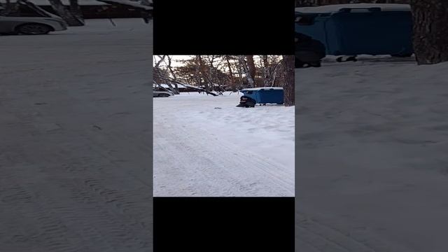 бомж