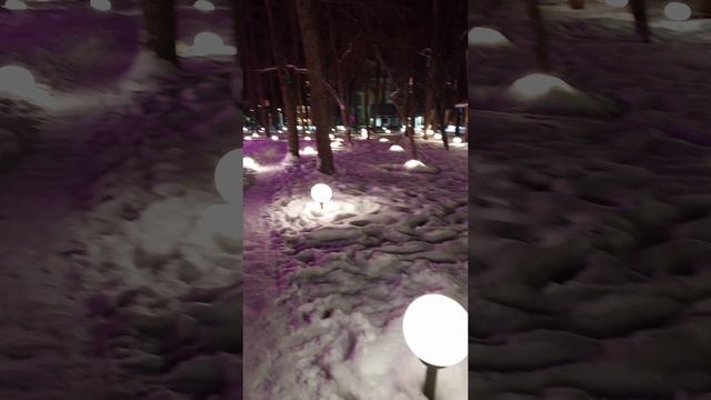 Горьковский сад. Пермь