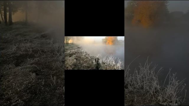 Не пережить нам сей войны...