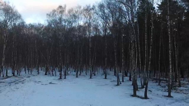 F3стандарт.mp4