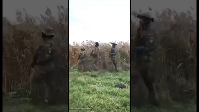 Мы с товарищами