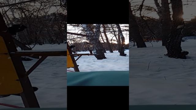 трюкачь