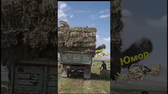 Видео без названия — сделано в Clipchamp - 2025-01-19T150126.749