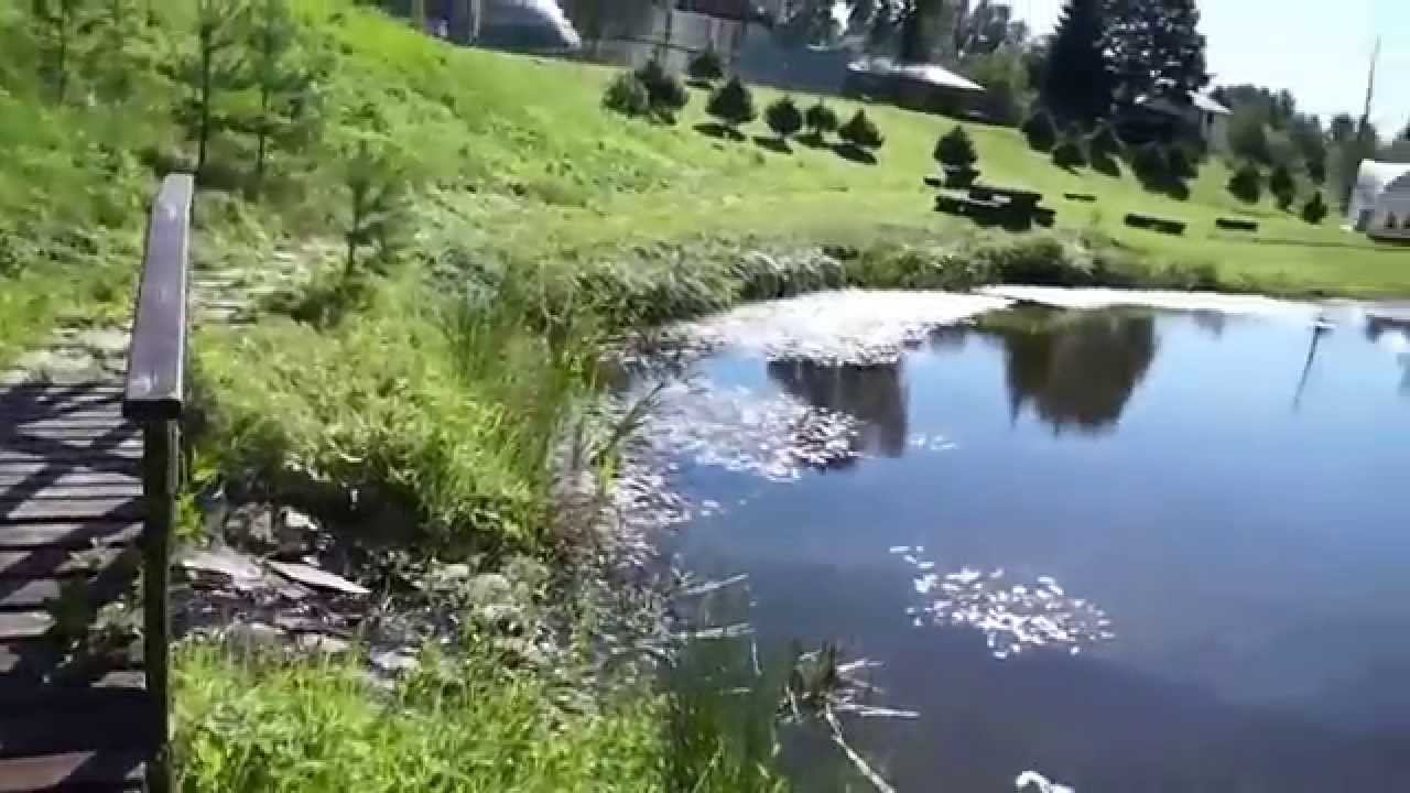 Выездной банкет на природе