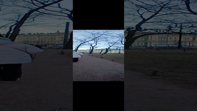 гуляем.парк.Питер