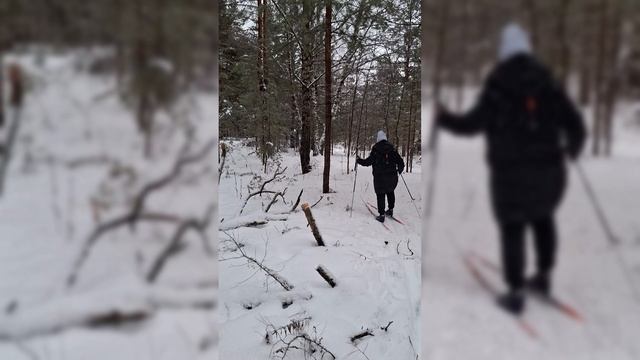 Зимний поход на лыжах 2 часть 🌲⛷️⛄️город Бор.Рекшино.