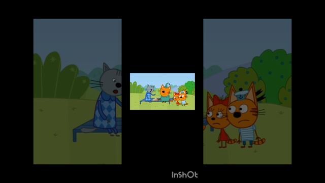 три скота сумасшедшие соперники