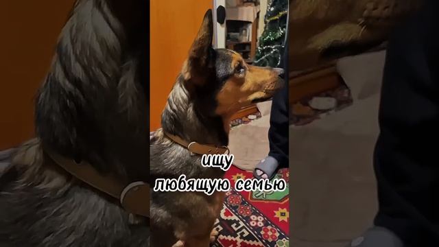 VID-20250119-WA0003