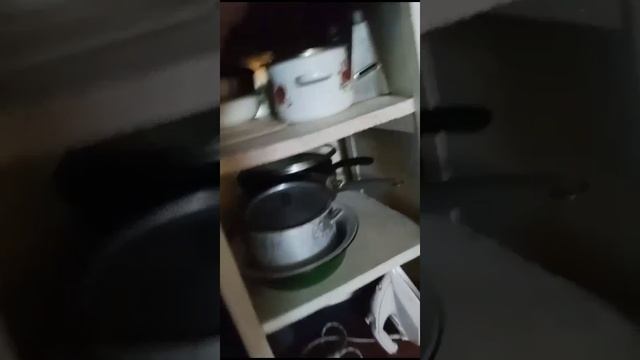 Видео проверка Масличко