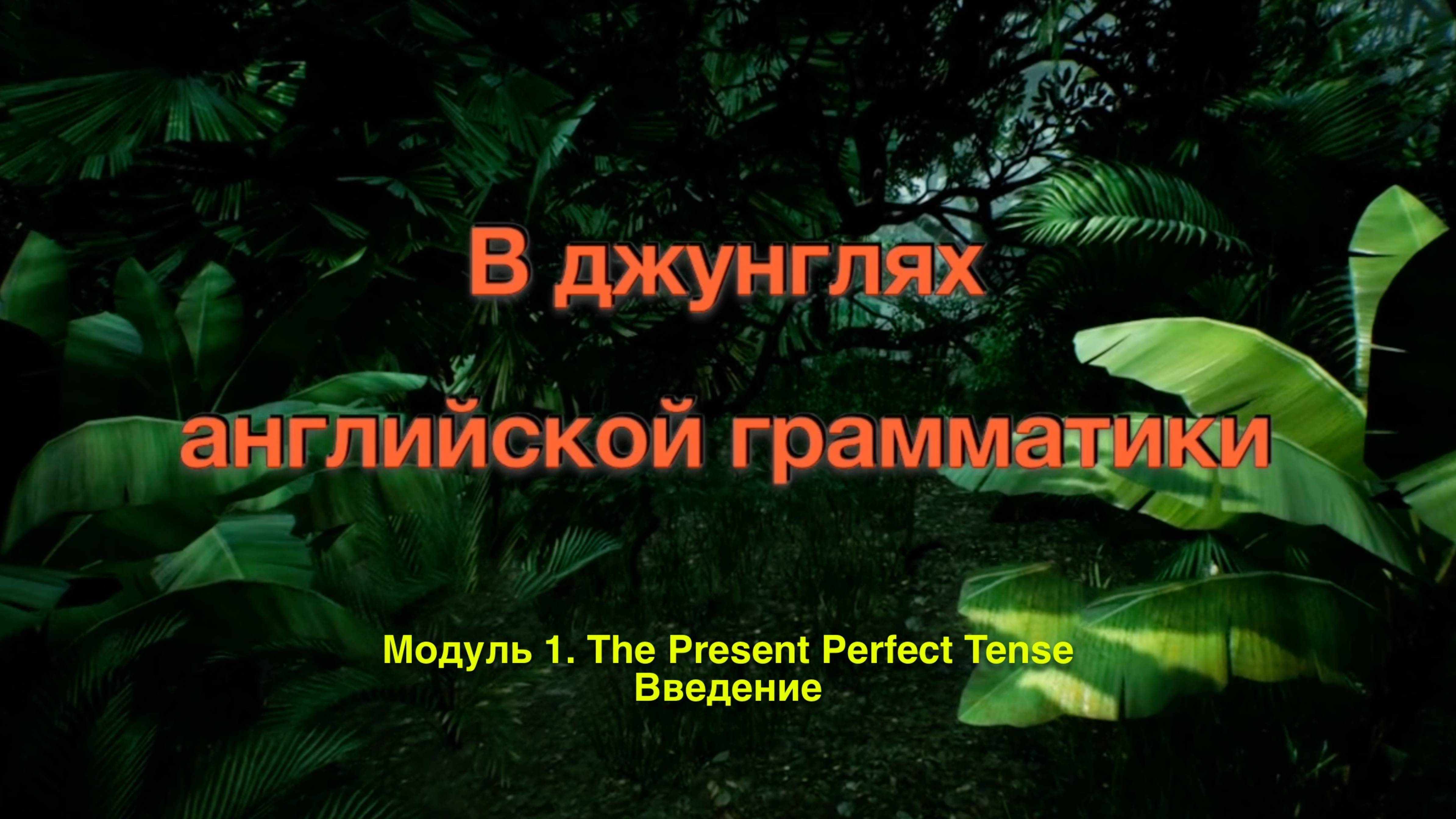 Джунгли 1.0. The Present Perfect Tense. Введение