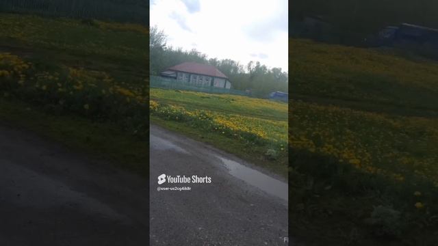 Красота