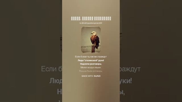 Дай ответ  Володька!