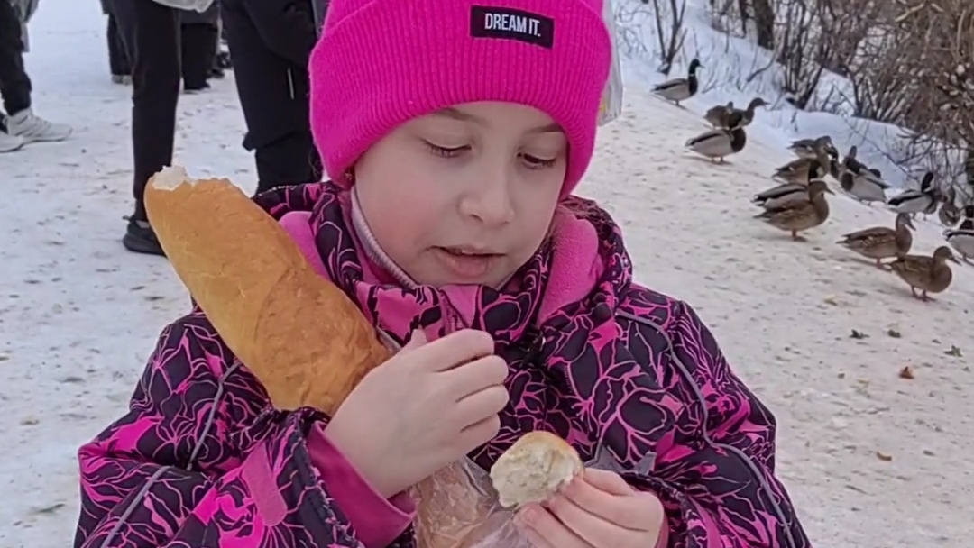 Прогулка с утками