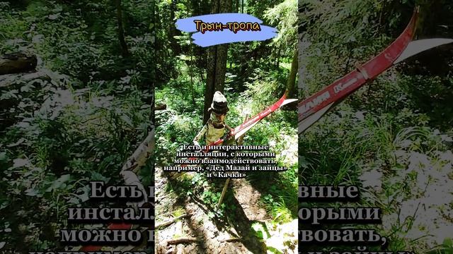 ЭКО тропа "Трын тропа"