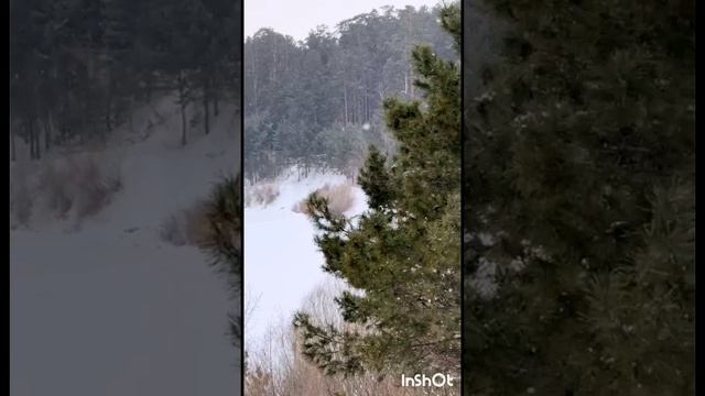 InShot_20250118_193124651.mp4