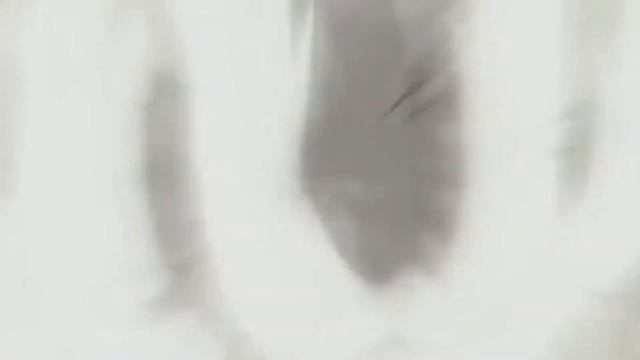 Dragon Ball Z Amv[MAD]