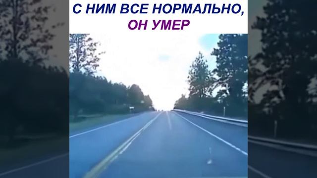 Приколы - юмор ВК (люди\животные\смех\до слез\cube\подборки\youtube)