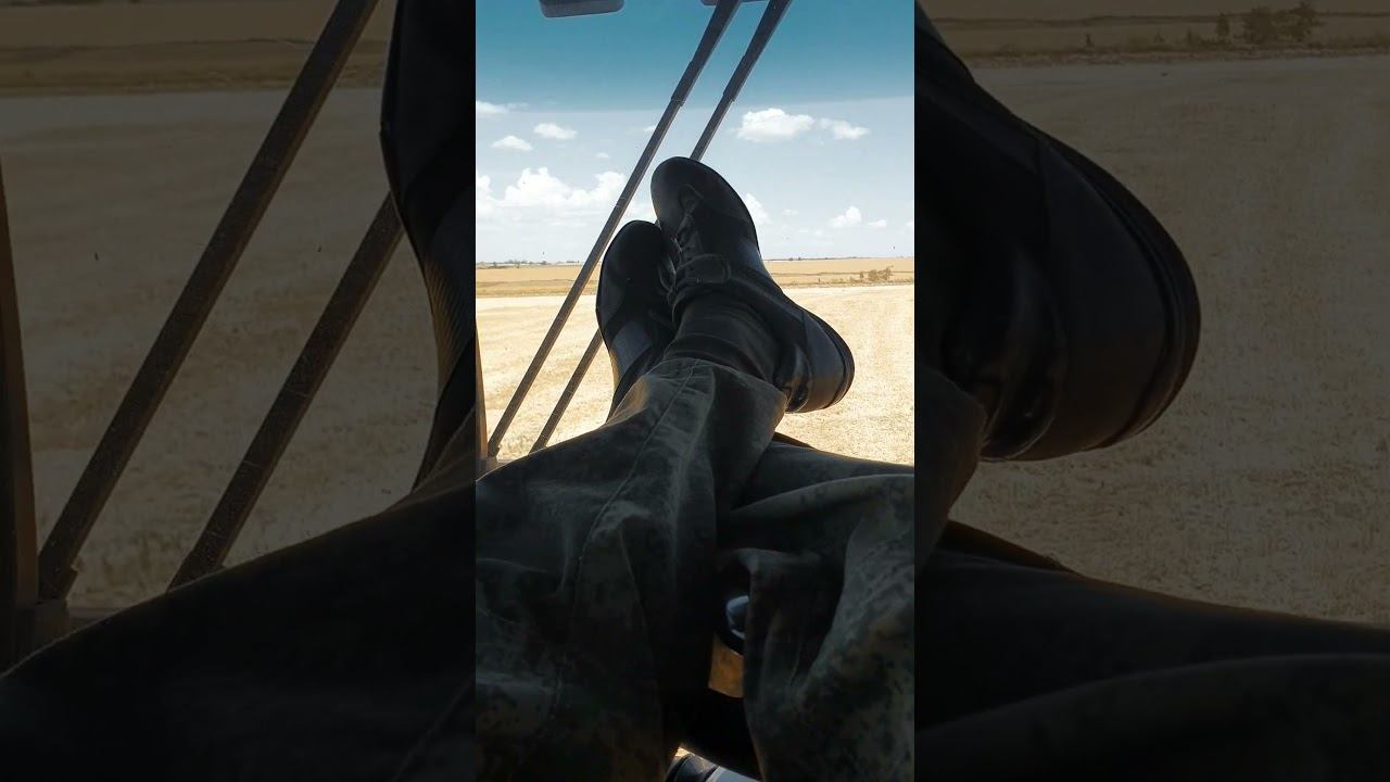 Продолжаем уборку 2024. Волгоградская область. #shorts #agriculture #rostselmash