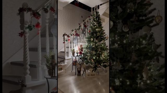 #Бенгальская кошка #Софа #бенгал