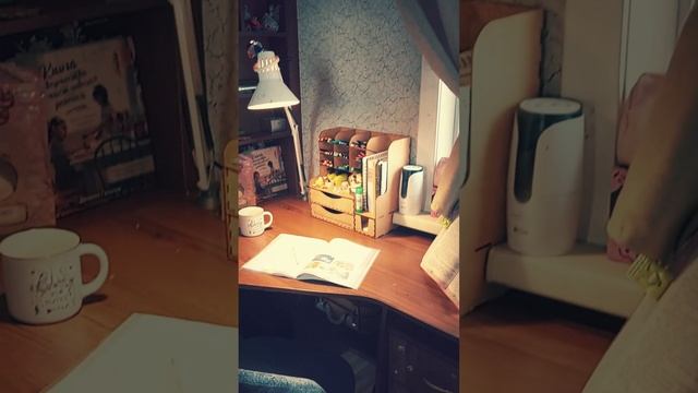 Органайзер на рабочий стол