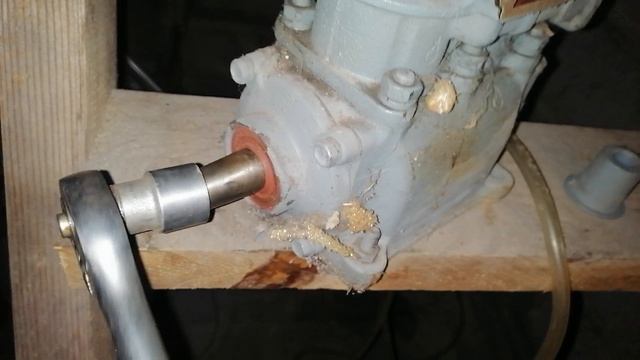 VID_20241217_180050.mp4
